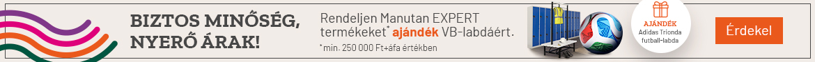Bajnoki promóció