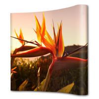 Felugró mágneses ívelt