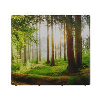 Kiugró mágneses egyenes