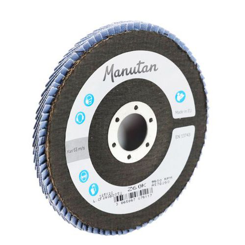 Manutan Expert lamellás csiszolókorongok, 125 mm