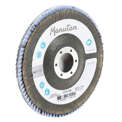 Manutan Expert lamellás csiszolókorongok, 125 mm