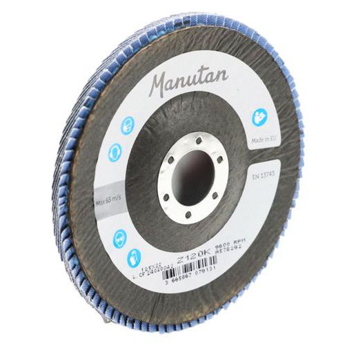 Manutan Expert lamellás csiszolókorongok, 125 mm